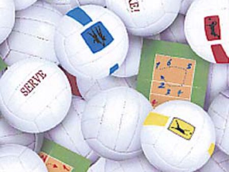 Volleyball Sports Collection Fabric by the yard Cheap