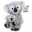 Zozo the Koala Bear & Joey, 10 in Online now