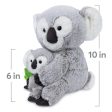 Zozo the Koala Bear & Joey, 10 in Online now